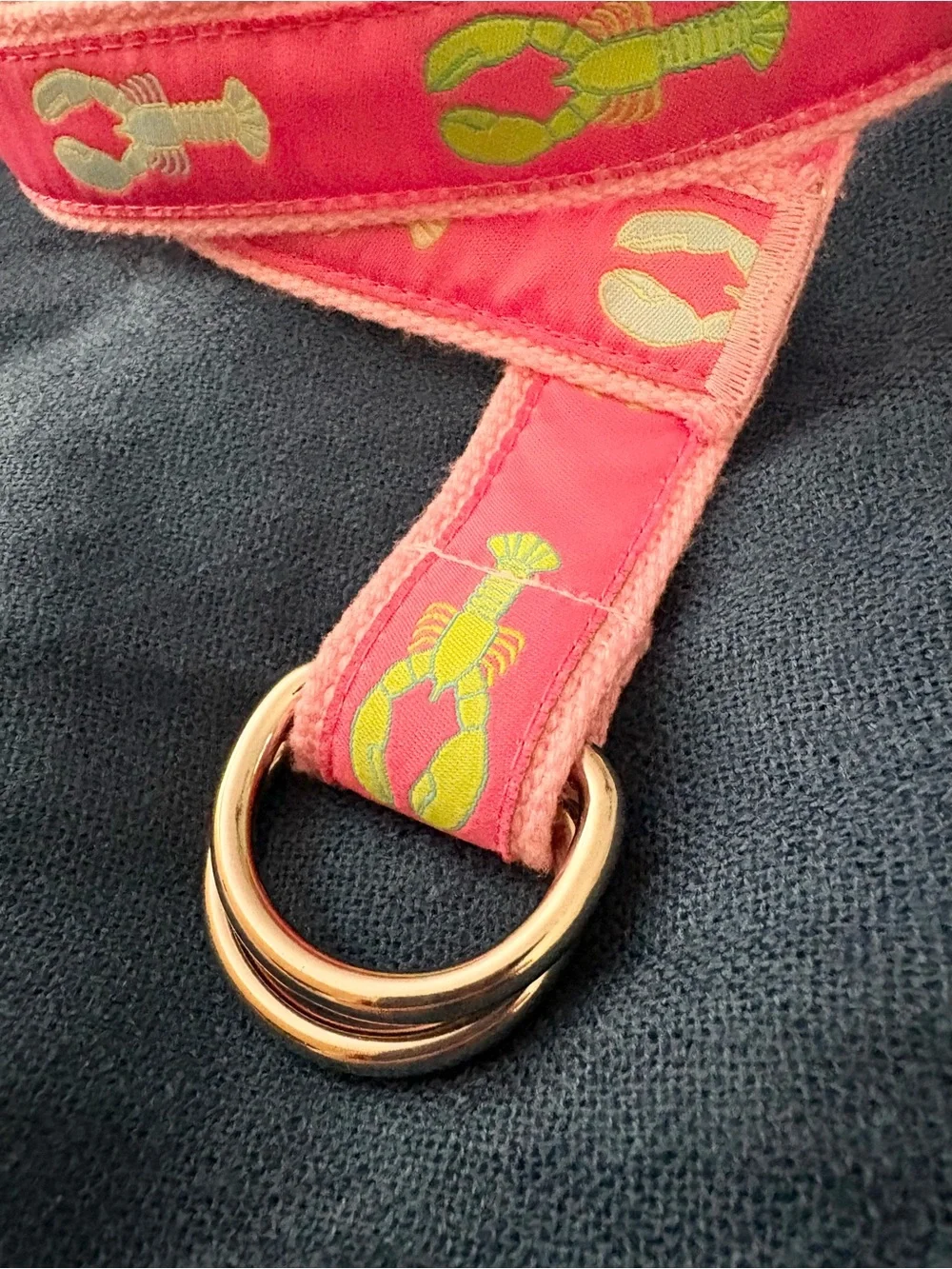 Women’s Canvas Ribbon Lobster Belt by Douglas Paquette